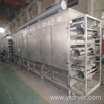 Vegetables and Fruits Belt Dryer